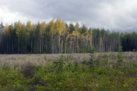 Турслет 4.10.14