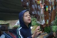Карелия 2010 года. 