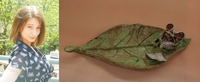 Крат Соня